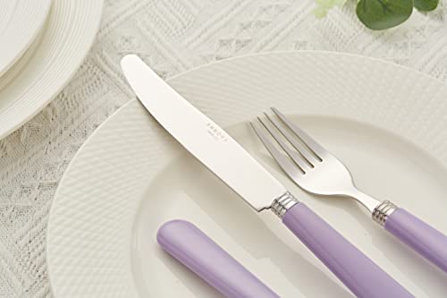 ANNOVA Stainless Steel Colorful Tableware Kitchen Flatware Set Utensils, Includes Dinner Knives, Forks, Spoons, Salad Forks & Dessert Spoons, Modern Rounded Shape (Lilac, 20 Pieces) - color: Lilac