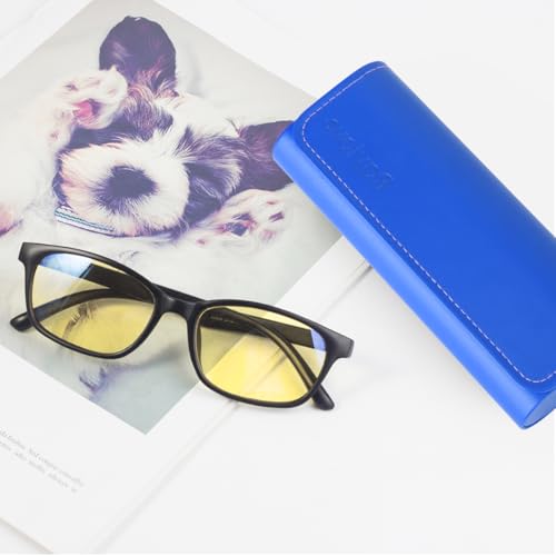 RayLove Hard Shell Glasses Case, Lightweight Leather Eyeglass Case, Travel-Friendly Sunglasses Protector for Men & Women - color: Blue