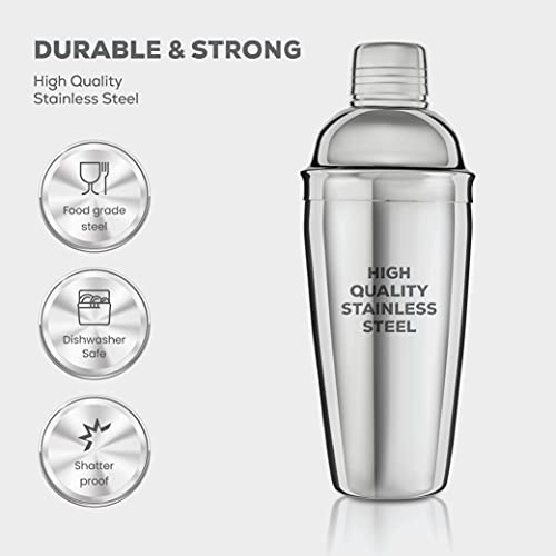 FineDine 10-Piece Cocktail Shaker Set with Travel Bag - Stainless Steel Shaker Set Bartender Kit - Mixology Bartender Kit - Strainer, Muddler, Jigger, Bar Spoon, Bottle Opener, Pour Spouts - Bar Set - size: 10-Piece