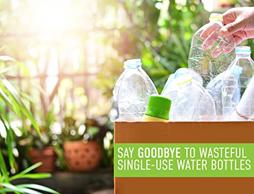 REDUCE WaterWeek 14 oz Tritan Reusable Water Bottles - Includes 5 Leak Proof Bottles and Fridge Tray - BPA Free and Dishwasher Safe - color: Berry, size: 14 Ounces