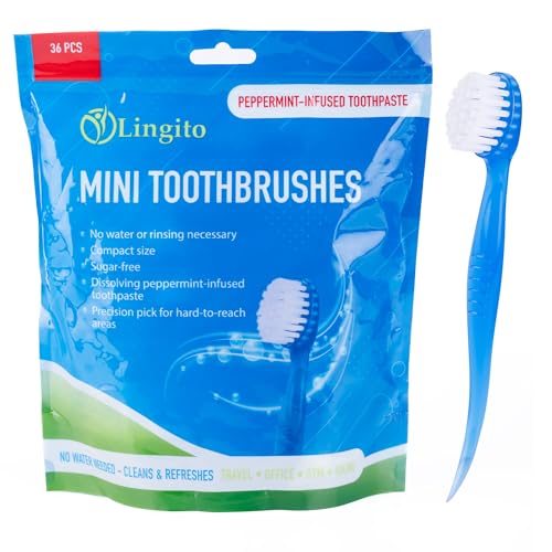 Bulk 36-Pack Mini Toothbrush Set - Prepasted, Hard Bristles with Individually Wrapped Disposable Toothbrush - style: 36 Pack Prepasted Mini Toothbrush - Hard