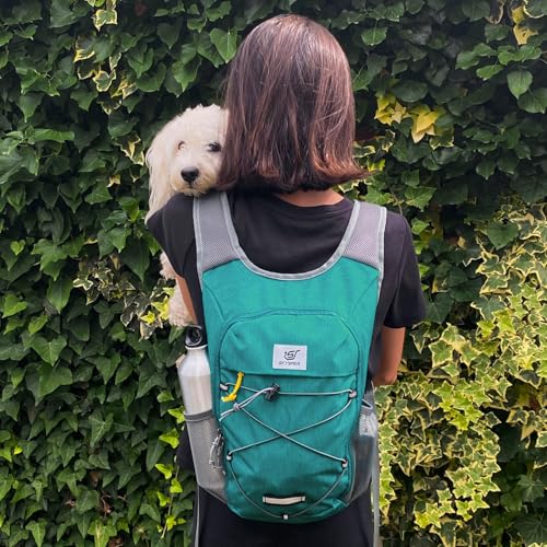 SKYSPER Foldable Hiking Backpack - 10L/15L Small Lightweight Daypack Breathable Travel Backpacks - color: Cyan, size: 15 l
