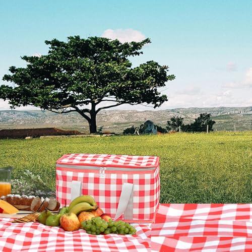 Insulated Picnic Bag with Leakproof Liner Foldable Reusable Cooler Basket Includes Disposable Picnic Mat Sturdy Handle Ideal for Outdoor Activities Travel Beach Camping (Red) - color: Red