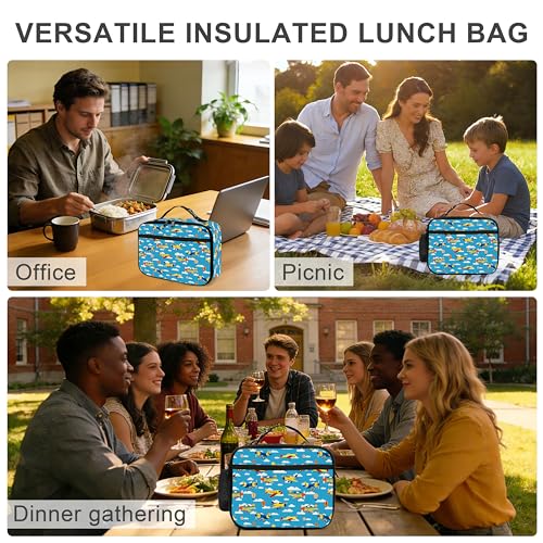 Airplane Lunch Bag Insulated Reusable Lunch Box Cooler Thermal Tote Bag For Teenage Boys Girls School Beach - color: Airplane