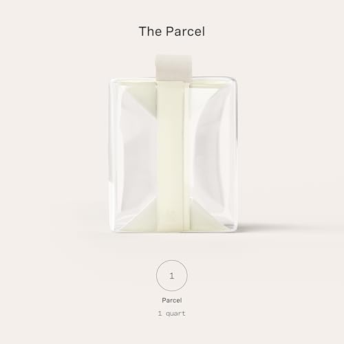 Cadence Parcel - Clear Kit with Magnetic Closure - Durable and Leak-Resistant Travel Toiletry Kit - TSA-Compliant & Modular Design - Hygiene Bag for Travel Essentials - 1 Qt - Pebble - color: Pebble, size: Medium