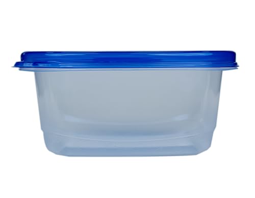 Glad GladWare Medium Rectangle Food Storage Containers with Lids, BPA Free Plastic for Soups Salads and Meal Prep, Airtight Leak Resistant, Microwave Dishwasher Freezer Safe, 24 Oz, 5 Count - size: 24 oz - 5 Ct, style: Rectangle
