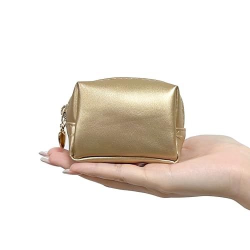 Kitgo Mini First Aid Emergency Clutch Kit -Mother Day Gift Compact Safety Pouch Party Bag with 27 Essential Items for Girl Lady Mother Wife Nurse for Girl Lady Mother Wife Nurse - color: Light Gold