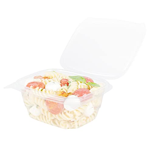 Restaurantware Thermo Tek 16 Ounce Deli Food Containers 100 Anti-Fog Hinged Lid Containers - Freezable Rectangle Clear Plastic To Go Food Containers Disposable - size: 16 oz
