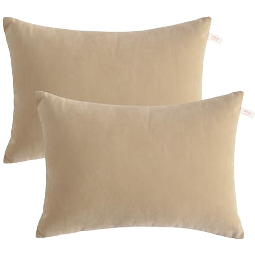 BEDSUM Toddler Pillows, 13x18 Ultra Soft Microfiber Travel Pillow for Sleeping - Small Pillows for Kids Daycare, Flight and Neck Support - Machine Washable Pillow Inserts, 2 Pack, Taupe - color: Taupe, size: 13x18 inches