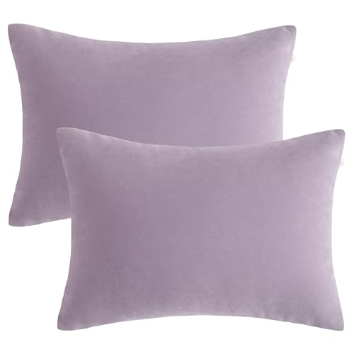 BEDSUM Toddler Pillows, 13x18 Ultra Soft Microfiber Travel Pillow for Sleeping - Small Pillows for Kids Daycare, Flight and Neck Support - Machine Washable Pillow Inserts, 2 Pack, Lavender - color: Lavender, size: 13x18 inches