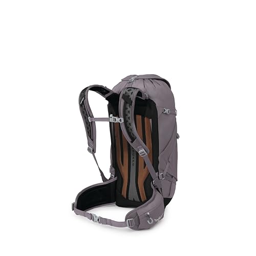Osprey Sportlite 30L Lightweight Hiking Backpack for Men and Women - Everyday Hiking Bag - Travel Daypack, Graphite Purple - color: Graphite Purple, style: 30l