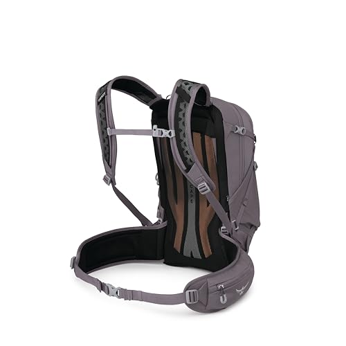 Osprey Sportlite 25L Lightweight Hiking Backpack for Men and Women - Everyday Hiking Bag - Travel Daypack, Extended Fit - color: Graphite Purple, style: 25l - Extended Fit