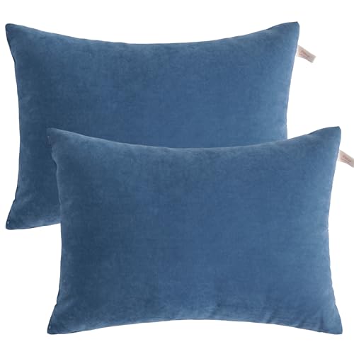 BEDSUM Toddler Pillows, 13x18 Ultra Soft Microfiber Travel Pillow for Sleeping - Small Pillows for Kids Daycare, Flight and Neck Support - Machine Washable Pillow Inserts, 2 Pack, Denim Blue - color: Denim Blue, size: 13x18 inches