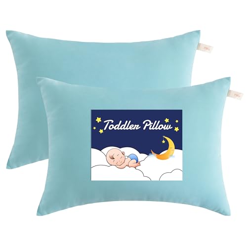 NTBAY Toddler Pillows, Down Alternative 13"x18" Pillows, Machine Washable - Soft and Breathable Travel Small Pillows for Sleeping, Ideal for Daycare, Crib, Cot, Aqua - color: Aqua, size: 13"x18"