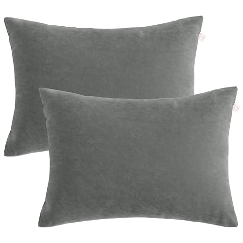 BEDSUM Toddler Pillows, 13x18 Ultra Soft Microfiber Travel Pillow for Sleeping - Small Pillows for Kids Daycare, Flight and Neck Support - Machine Washable Pillow Inserts, 2 Pack, Dark Grey - color: Dark Grey, size: 13x18 inches