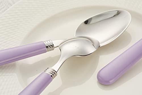 ANNOVA Stainless Steel Colorful Tableware Kitchen Flatware Set Utensils, Includes Dinner Knives, Forks, Spoons, Salad Forks & Dessert Spoons, Modern Rounded Shape (Lilac, 20 Pieces) - color: Lilac