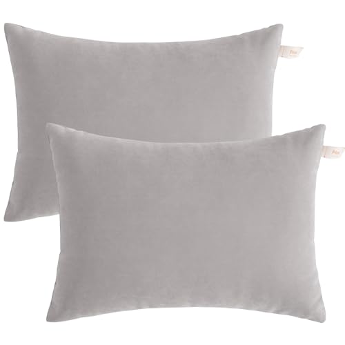 BEDSUM Toddler Pillows, 13x18 Ultra Soft Microfiber Travel Pillow for Sleeping - Small Pillows for Kids Daycare, Flight and Neck Support - Machine Washable Pillow Inserts, 2 Pack, Light Grey - color: Light Grey, size: 13x18 inches