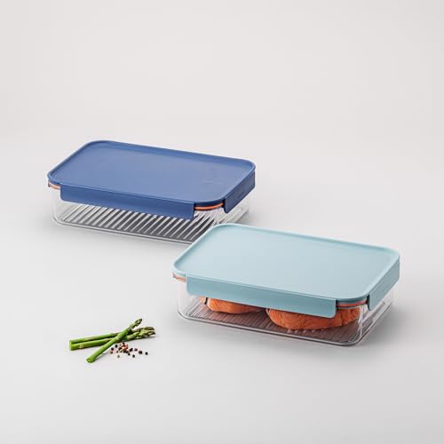 LocknLock Tritan Plastic Bisfree Modular Plus Food Storage Container Set, Lunch, Meal Prep, Stackable, BPA-Free, Leakproof, Freezer-Safe, 4 Pieces, 2 Boxes and 2 Lids, Navy, 2.1L - color: Navy, size: 4 set (2 containers & 2 Lids), 2100 ml