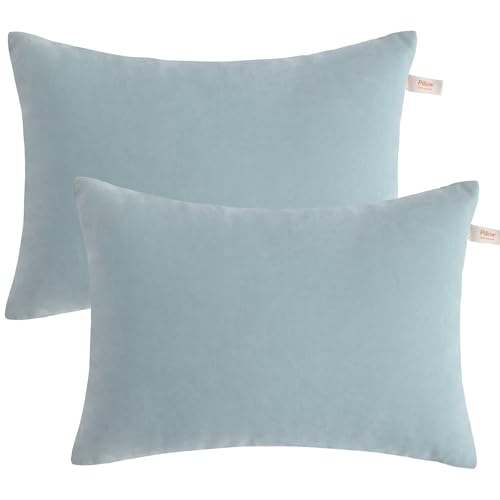 BEDSUM Toddler Pillows, 13x18 Ultra Soft Microfiber Travel Pillow for Sleeping - Small Pillows for Kids Daycare, Flight and Neck Support - Machine Washable Pillow Inserts, 2 Pack, Sea Green - color: Sea Green, size: 13x18 inches