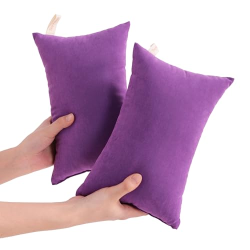 NTBAY Tiny Pillows, Down Alternative 7"x11" Microfiber Mini Pillow for Travel, Pets, Soft Machine Washable Small Pillows for Neck, Wrist, Lumbar and Knee, Purple - color: Purple, size: 11"x7"