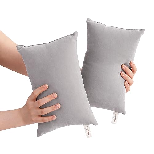 BEDSUM Tiny Pillows, 11x7 Mini Microfiber Small Pillow for Neck and Lumbar Support - Machine Washable Cushion for Office Desk, Backpacking and Travel - Pillow Inserts, 2 Pack, Light Grey - color: Light Grey, size: 11x7 inches