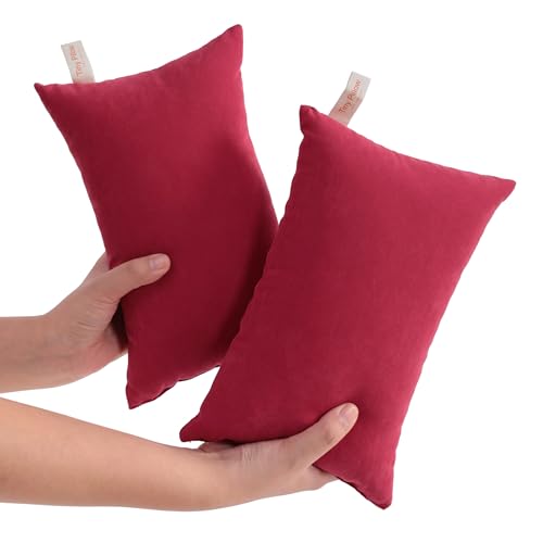 NTBAY Tiny Pillows, Down Alternative 7"x11" Microfiber Mini Pillow for Travel, Pets, Soft Machine Washable Small Pillows for Neck, Wrist, Lumbar and Knee, Red - color: Red, size: 11"x7"