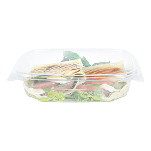 Restaurantware Thermo Tek 24 Ounce Deli Food Containers 100 Anti-Fog Hinged Lid Containers - Freezable Rectangle Clear Plastic To Go Food Containers Disposable - size: 24 oz