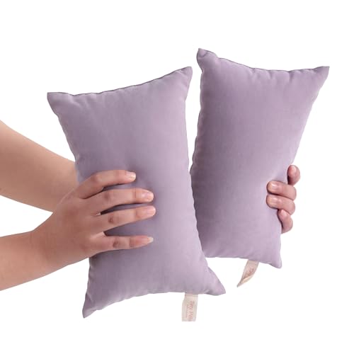 BEDSUM Tiny Pillows, 11x7 Mini Microfiber Small Pillow for Neck and Lumbar Support - Machine Washable Cushion for Office Desk, Backpacking and Travel - Pillow Inserts, 2 Pack, Lavender - color: Lavender, size: 11x7 inches