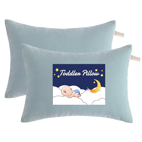 NTBAY Toddler Pillows, Down Alternative 13"x18" Pillows, Machine Washable - Soft and Breathable Travel Small Pillows for Sleeping, Ideal for Daycare, Crib, Cot, Sea Green - color: Sea Green, size: 13"x18"