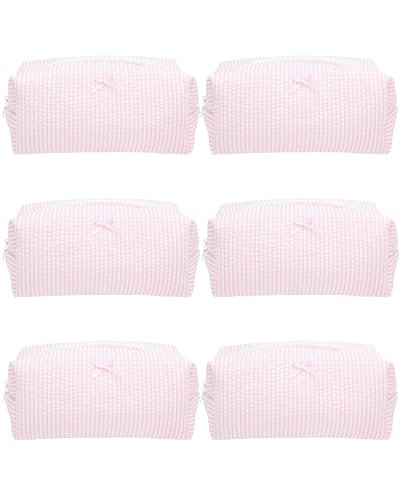 PAZIMIIK 6PCS Cozy Makeup Bag SET Travel Cosmetic Bag for Women Soft Toiletry Bag Aesthetic Makeup Organizer Portable Large Zipper Pouch for Skincare Beauty Accessories Brushes Stripe Pink - color: Stripe Pink, size: 6PCS