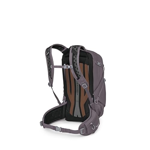 Osprey Sportlite 25L Lightweight Hiking Backpack for Men and Women - Everyday Hiking Bag - Travel Daypack, Graphite Purple - color: Graphite Purple, style: 25l