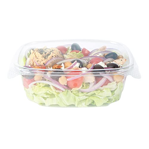 Restaurantware Thermo Tek 32 Ounce Deli Food Containers 100 Anti-Fog Hinged Lid Containers - Freezable Rectangle Clear Plastic To Go Food Containers Disposable - size: 32 oz