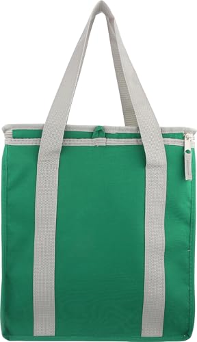 Whole Foods Market Insulated Cooler Bag | 3.5 Gallon, Large Square