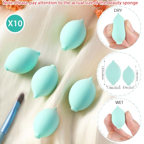 SiliFine 20 Pcs Travel Makeup Brush Set, 10 Mini Travel Brush Set with Bag and 10 Makeup Sponge Princess Party Favor Valentine's Day Gift for Women Home Party(Blue) - color: Blue