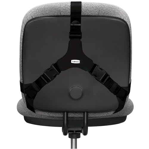 Fellowes Professional Series Back Support, Black (8037601) (Pack of 2) - size: One Size (Pack of 2)