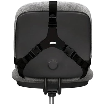 Fellowes Professional Series Back Support, Black (8037601) (Pack of 2) - size: One Size (Pack of 2)