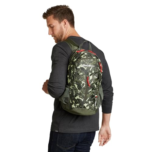 Eddie Bauer Stowaway Packable Backpack | Travel | Outdoor | Lightweight | Foldable | Durable | Ripstop Polyester | 20L - Blue Fog - color: Blue Fog, size: 20L
