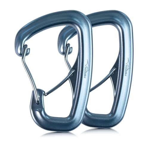 Heavy Duty Carabiner Clip Hook 8KN (1763 lbs), 2 PCS Ultra-Light Aluminum Caribeaners with Double Door D Ring Shape, for Hammock, Camping, Hiking, Backpacking, Dog Leash, Keychain Clip - style: 2#Silver-2pc