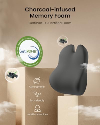 ProtoArc Lumbar Support Pillow for Office Chair, Memory Foam Back Support Pillow for Lower Back Fatigue Relief, Lumbar Pillow Desk Chair Back Cushion, Ergonomic Back Rest for Chair - Dark Gray - color: Dark Gray