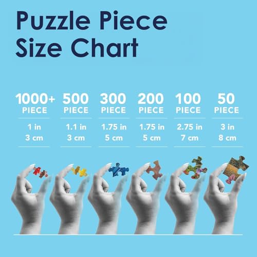 Bits and Pieces – 4-in-1 Multi-Pack Jigsaw Puzzles for Adults – US Landmarks Jigsaw Puzzle Set Bundle, Completed Puzzle Size: 16" x 20" (Four 300 Piece Puzzles) - size: 300 Piece Puzzle