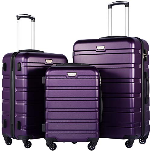 Coolife Luggage 3 Piece Set, Lightweight Durable Hardshell Suitcase set with 360° Spinner Wheels, TSA-approved Lock, Checked Family Travel Luggage sets, 20/24/28 Inch, Purple - color: Purple, size: 20in24in28in