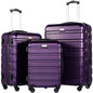 Coolife Luggage 3 Piece Set, Lightweight Durable Hardshell Suitcase set with 360° Spinner Wheels, TSA-approved Lock, Checked Family Travel Luggage sets, 20/24/28 Inch, Purple - color: Purple, size: 20in24in28in