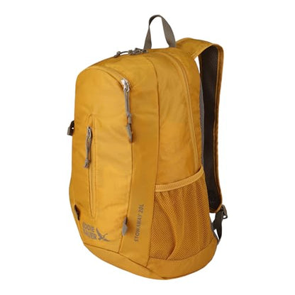Eddie Bauer Stowaway Packable Backpack | Travel | Outdoor | Lightweight | Foldable | Durable | Ripstop Polyester | 20L - Field Gold - color: Field Gold, size: 20L