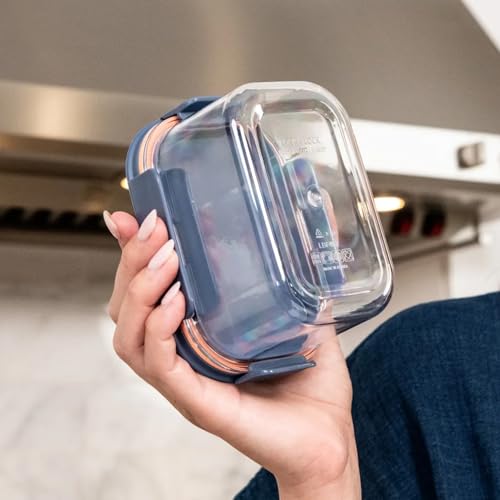 LocknLock Tritan Plastic Bisfree Modular Plus Food Storage Container Set, Lunch, Meal Prep, Stackable, BPA-Free, Leakproof, Freezer-Safe, 10 Pieces, 5 Boxes and 5 Lids, Navy, 450ml - color: Navy, size: 10 set (5 containers & 5 Lids), 450 ml