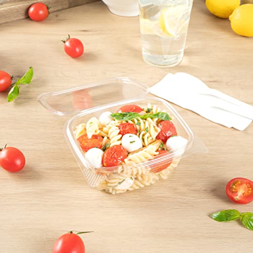 Restaurantware Thermo Tek 16 Ounce Deli Food Containers 100 Anti-Fog Hinged Lid Containers - Freezable Rectangle Clear Plastic To Go Food Containers Disposable - size: 16 oz