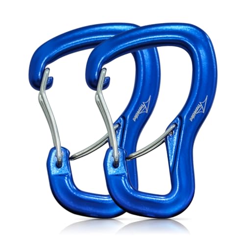 Heavy Duty Carabiner Clip Hook 8KN (1763 lbs), 2 PCS Ultra-Light Aluminum Caribeaners with Double Door D Ring Shape, for Hammock, Camping, Hiking, Backpacking, Dog Leash, Keychain Clip - style: 1#Blue-2pc