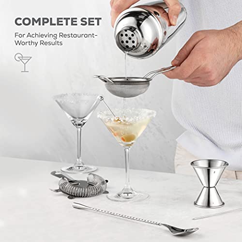 FineDine 10-Piece Cocktail Shaker Set with Travel Bag - Stainless Steel Shaker Set Bartender Kit - Mixology Bartender Kit - Strainer, Muddler, Jigger, Bar Spoon, Bottle Opener, Pour Spouts - Bar Set - size: 10-Piece