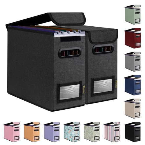 BALEINE File Organizer Box with Lid, Collapsible File Folder Organizer with Plastic Slide, Hanging File Folder Box for Office Document Storage (2 Pack, Black, S) - color: Black, size: 2 Pack (Slim)