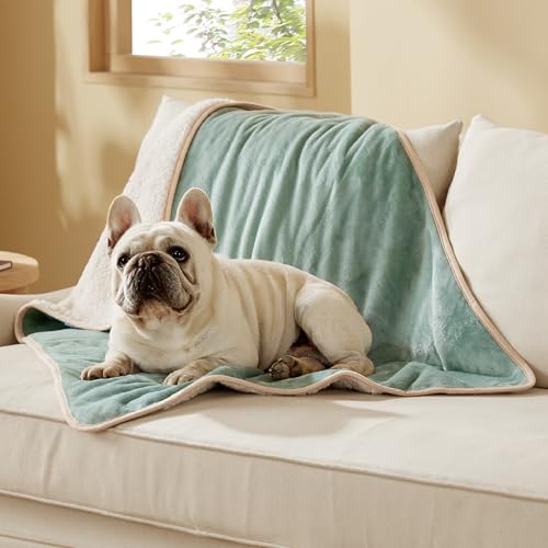 Bedsure Waterproof Dog Blankets for Medium Dogs - Medium Cat Blanket Washable for Couch Protection, Sherpa Fleece Puppy Blanket, Soft Plush Reversible Throw Furniture Protector, 30"X40", Light Green - color: Light Green, size: M(30x40")