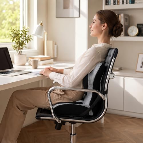 Ergonomic Back and Seat Cushions, Lumbar Support with Detachable Cover, for Back Posture and Pain Relief, Home Office Chair Alien